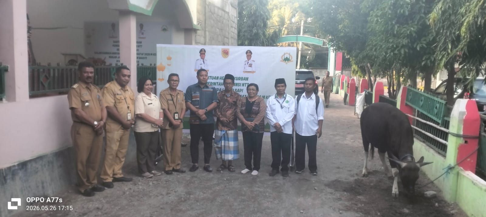 Gubernur NTT Serahkan Hewan Kurban Untuk Masjid Darussalam Waioti